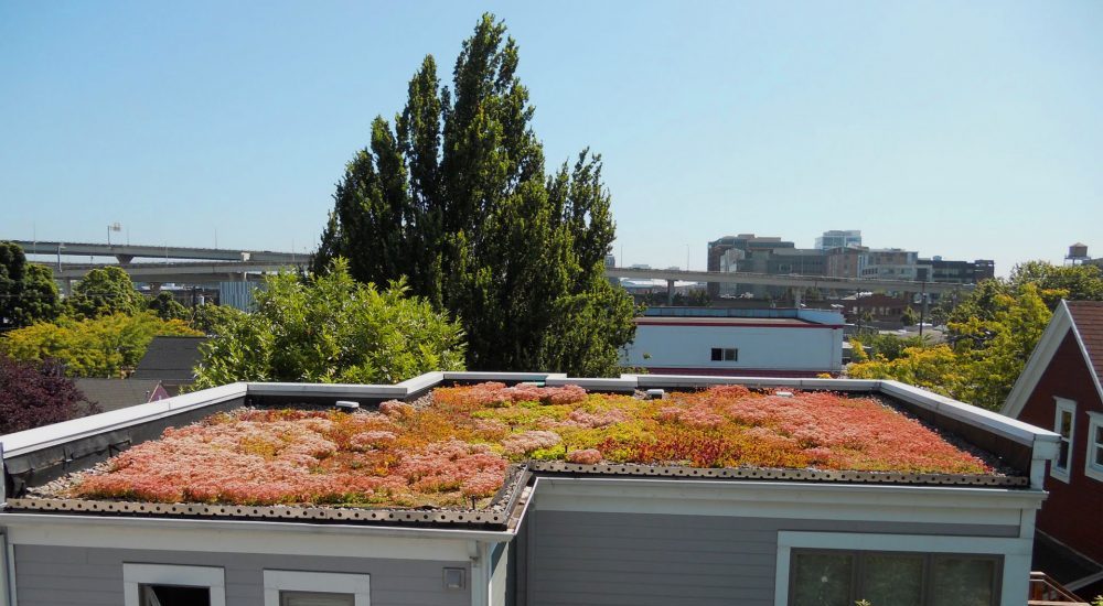 Portland Oregon Green Roof Ecoroof Rooftop And Seismic Upgrade